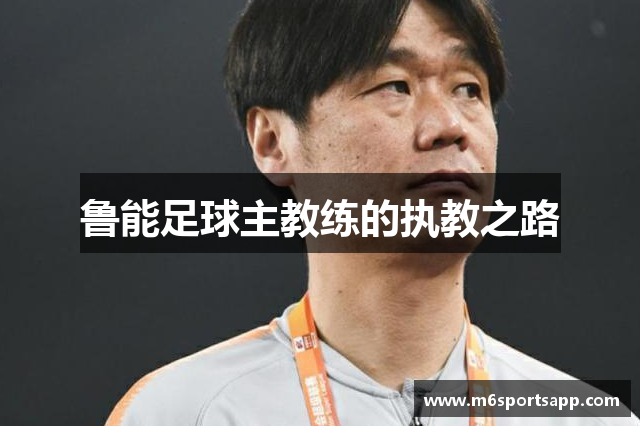 鲁能足球主教练的执教之路
