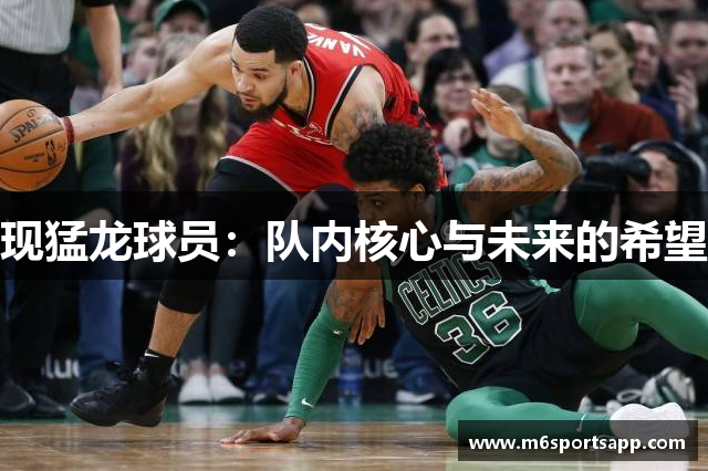 现猛龙球员：队内核心与未来的希望
